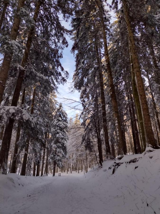 Baita La Stradella Serravalle  Zewnętrze zdjęcie